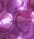 anemone glitter rose detail